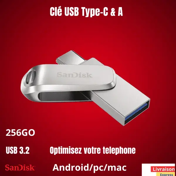 Clé USB Type-C™ SanDisk Ultra Dual Drive Luxe 256GO
